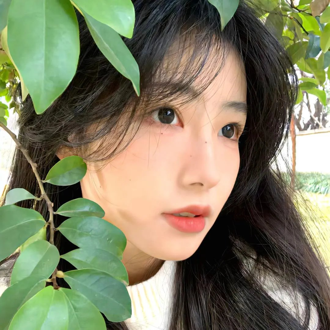 在西伯利亚森林中